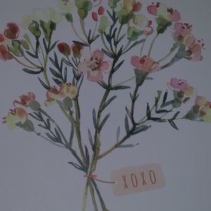 Meet your Posher, Ashlynn